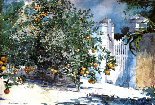 (image for) Handmade Oil painting for home canvas, oil painting framed canvas for living room Winslow Homers Paintings Orange Tree Nassau